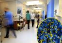 Coronavirus in Cornwall: Saturday, January 2 - new rise in hospital deaths.