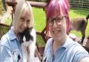 Mum and daughter Karen and Lauren opened Karen's Cat Community in 2017