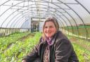 Emma Maxwell, from Ash&Elm Horticulture at Old Hall, near Llanidloes.