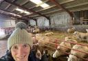 Stella Owen's farm was hit by the virus which left around 20 lambs with deformities