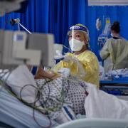 A nurse works on a patient in the ICU (Intensive Care Unit) in St George's Hospital in Tooting, south-west London, where the number of intensive care beds for the critically sick has had to be increased from 60 to 120, the vast majority of which are f