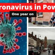 Coronavirus in Powys - 12 months on from the first case