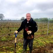 Russell Cooke planting the new vines