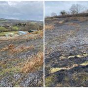 Firefighters tackle a large grass fire in Llanllwchaiarn, near Newtown on Sunday.