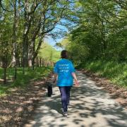 Committee member Ann Watkin-Jones (and Max the dog) on one of the walks as part of the  Walk a 100 miles in May challenge raising funds for Cancer Research UK