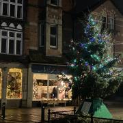 The tree which arrived ahead of last Saturday's Christmas lights switch-on has been provided for decades by The Rotary Club of Newtown.