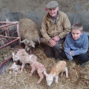 Gwilym and his grandson Eriyn Griffiths, pictured with the mother and five healthy lambs.