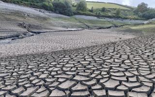 The dry conditions at Clywedog near Llanidloes. Pic: Kate Evans