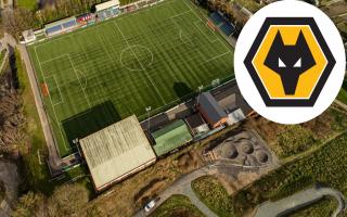 Wolves will be sending academy sides to Newtown on Saturday.
