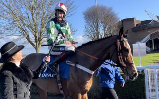Racehorse owned by Welshpool business heading to the Grand National