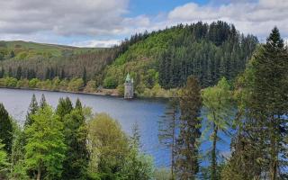 Lake Vyrnwy businesses expecting best bookings for 30 years