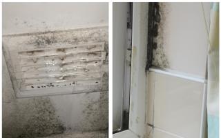 Gillian said the mould in her flat is causing her health issues.