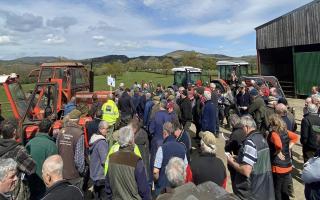 The crowd at the successful dispersal auction at Lower Heblands on Saturday.