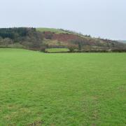 Rhoneth Farm near Clun is up for sale