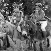 Newtown Donkey Derby memories from 1964. Picture by Don Griffiths.