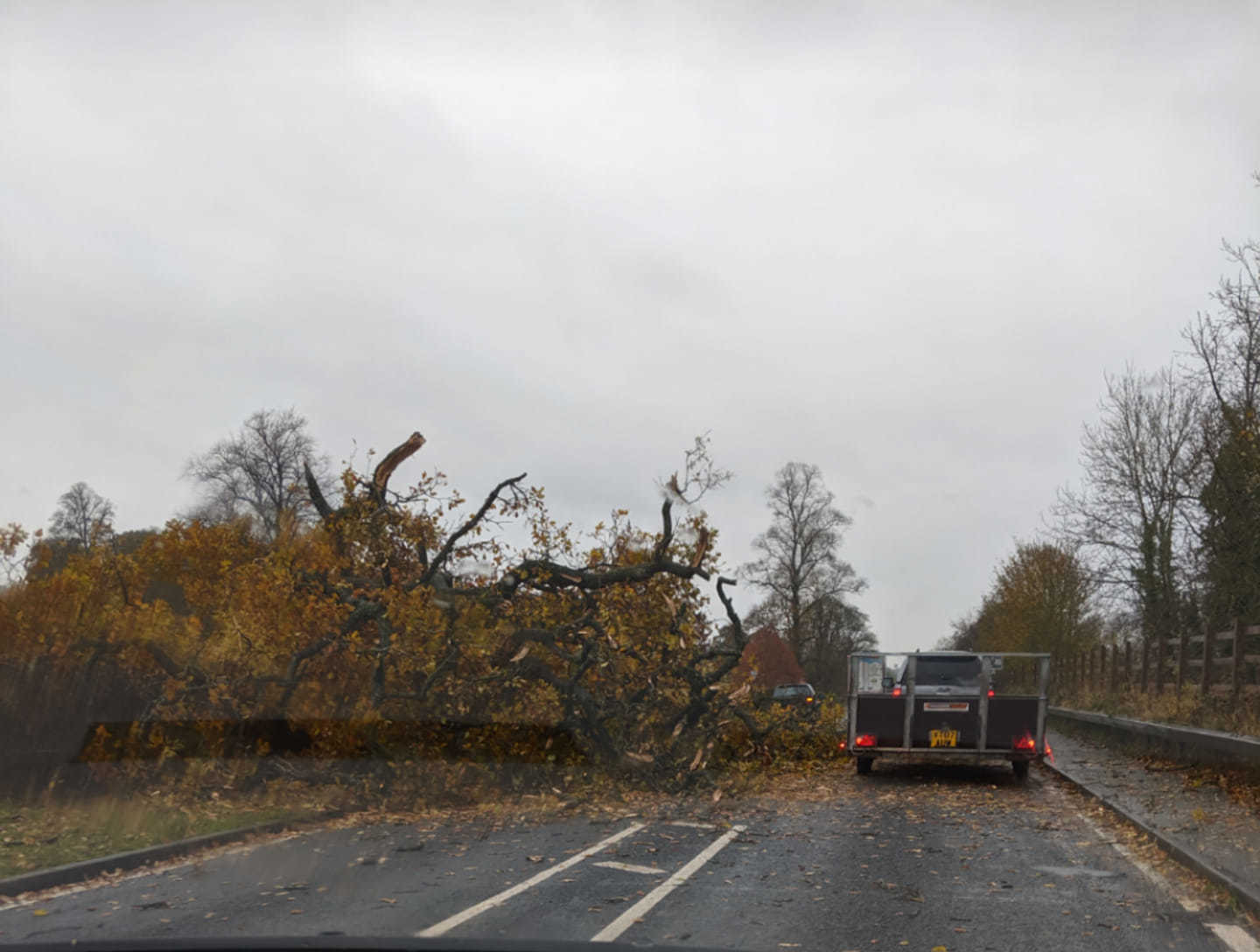 Tree comes down on A458 near Welshpool - Powys County Times