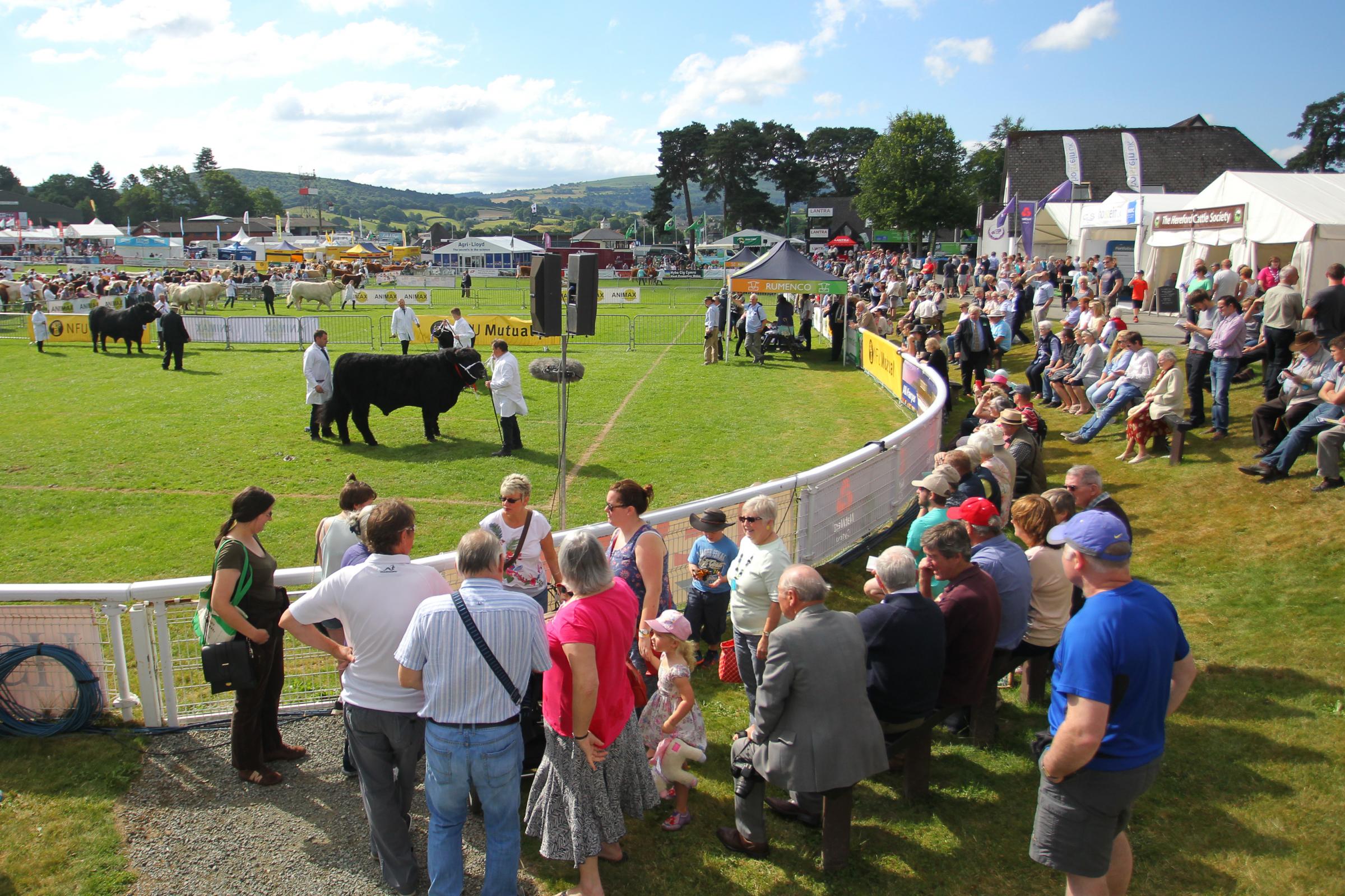 A general view of the show ring at the Royal Welsh Show at Llanelwedd last year.