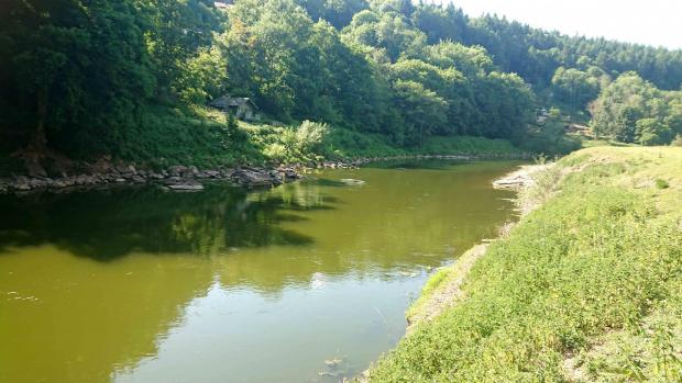 County Times:  The River Wye has turned green at certain points of the year in recent years because of algal blooms