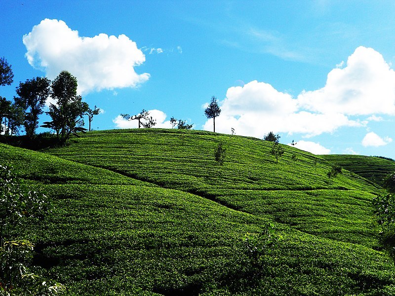 Sri Lanka, formerly Ceylon. Picture: Wiki Commons.