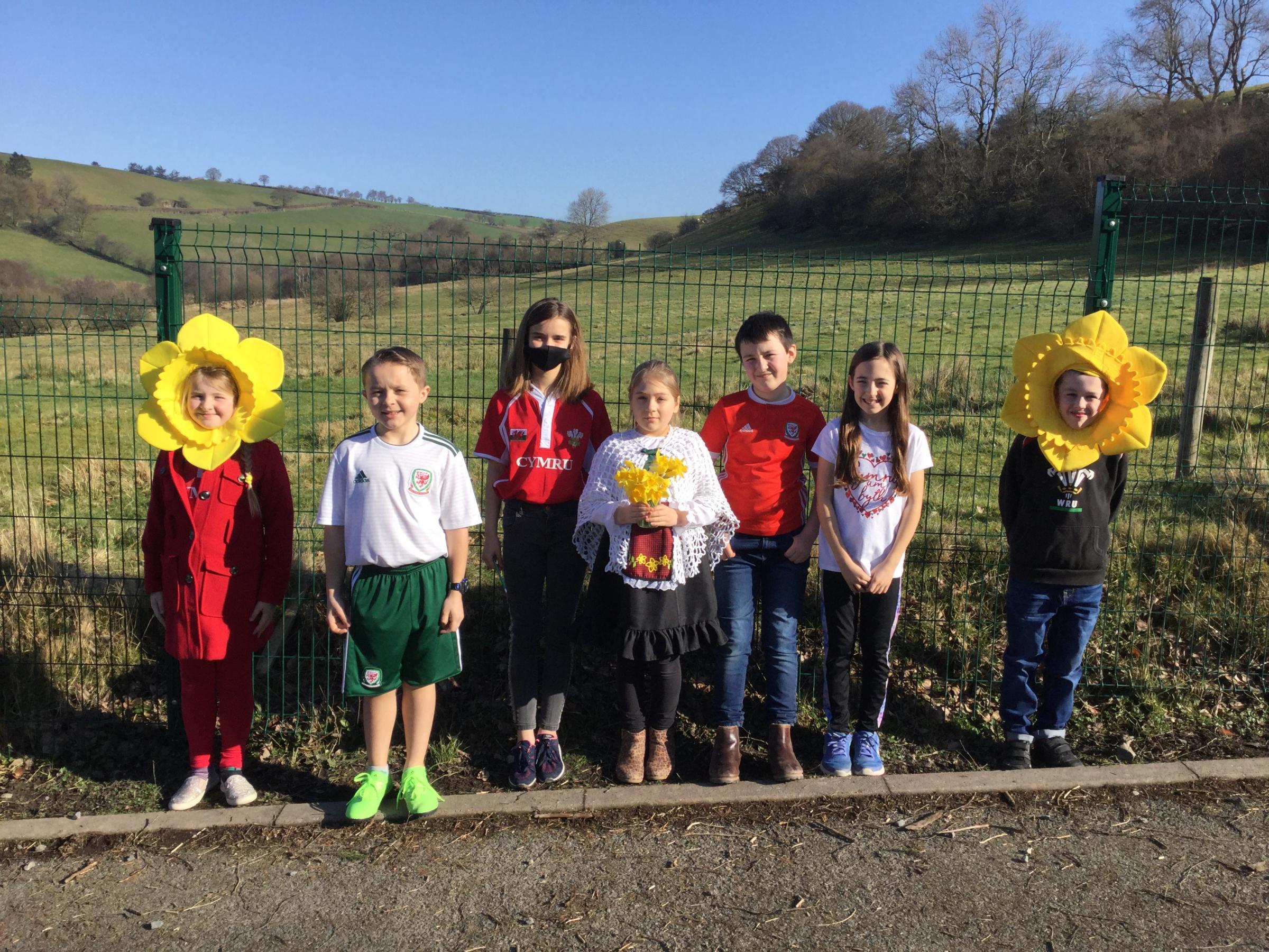 Pupils at Llanbister Primary School celebrate St Davids Day.