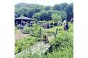 Machynlleth community garden receives £3,000 grant