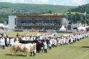 Last year's Royal Welsh Show.