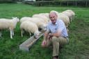 By NFU Cymru Livestock Board Chairman, Rob Lewis.