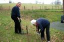 Hafren Trefoil Guild treasurer Mary Davies and chairman Gwyneth Brown plant trees in Aberhafesp to mark Queen Elizabeth II's reign.