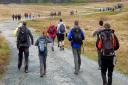 Will you be walking in the Across Wales Walk next year?