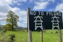 Anti-pylon signs are a familiar site on the sides of Powys roads.