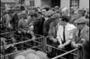 Market day in Welshpool in 1964.