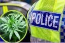 Callum Evans was found to have over 100 grams of cannabis in his car following a crash, which led to him hitting a bridge.