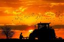 Tractor at sunset - generic farming picture. From Pixabay - by dendoktoor.