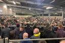 Farmers at Welshpool Livestock Market last week.