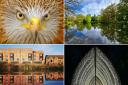 24 stunning shots of perfect symmetry in Warrington
