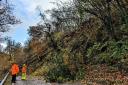 A tornado brought trees down across the road between Builth and Erwood on Wednesday. The A470 remains closed this morning. Pic Matthew Keeble-Payne
