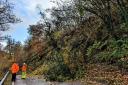 A mini tornado hit Powys on Wednesday, bringing trees down across the A470.