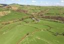 Pentwyn Farm was bought by the Radnorshire Wildlife Trust in 2021. (Pic: McCartneys).