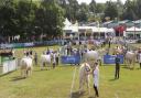 The main Cattle Ring at the Royal Welsh Show