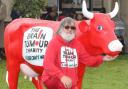 Andy Cumine with his plastic cow for the Brain Tumour Charity.