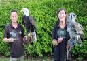 Barry Macdonald and Luce Green from Falconry Experience Wales with their two new awards and two of their birds