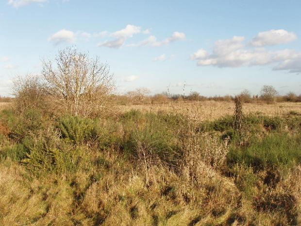 County Times: Hounslow Heath. Picture by David Hawgood/Wiki.