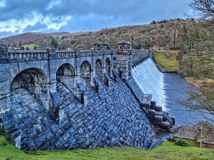 Powys chocolate maker wants Lake Vyrnwy cabin to sell goods 