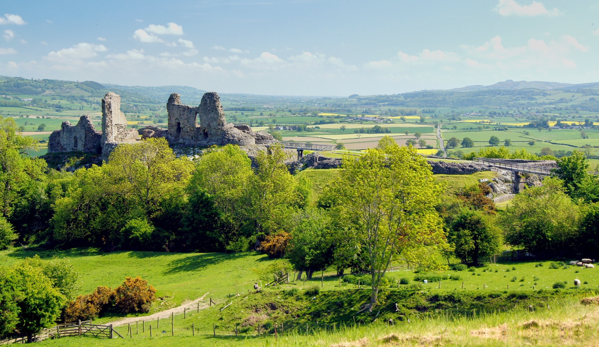 Letter – Powys battle site finds cannot be dismissed - Vimarsana News