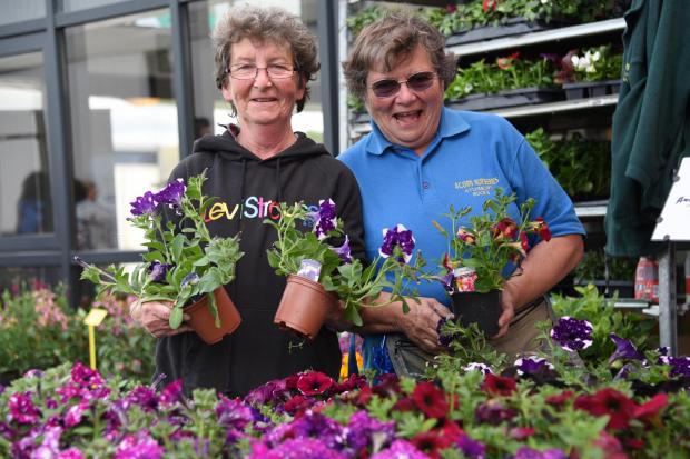 County Times: Plenty of gardening trade stands across the Showground for all your summer planting needs. Taken at the Smallholding and Countryside Festival at Llanelwedd.