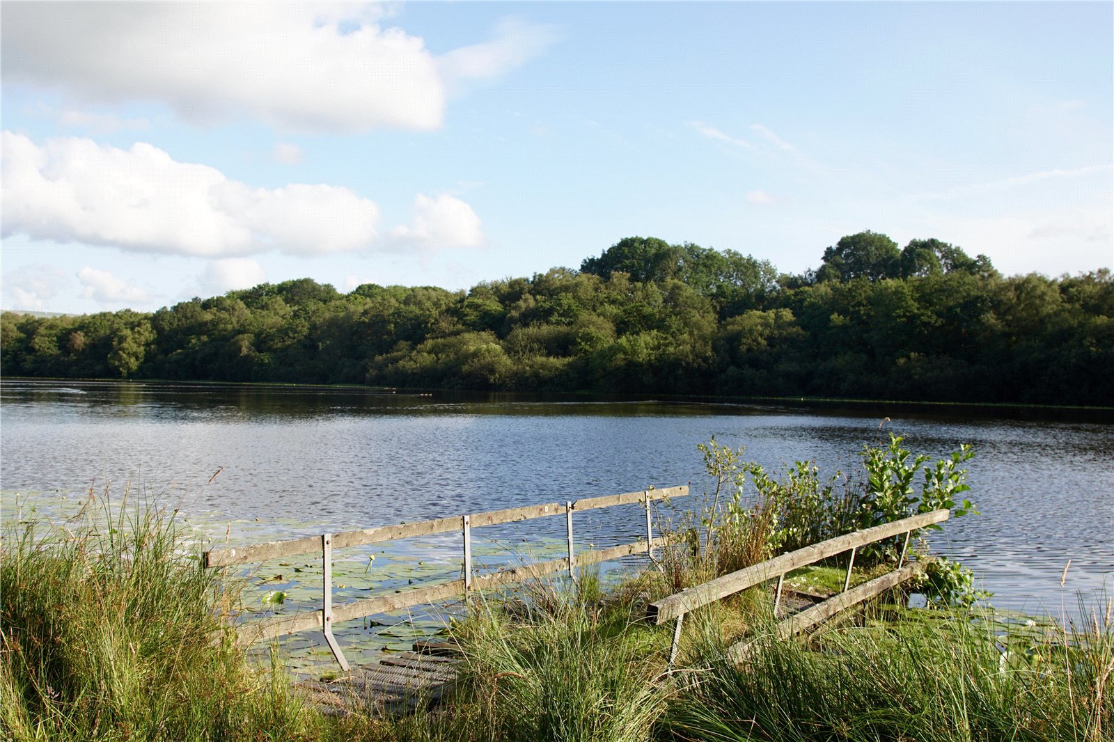 Montgomeryshires largest natural lake Llyn Ebyr, near Trefeglwys is up for sale. Picture by Morris, Marshall & Poole with Norman Lloyd