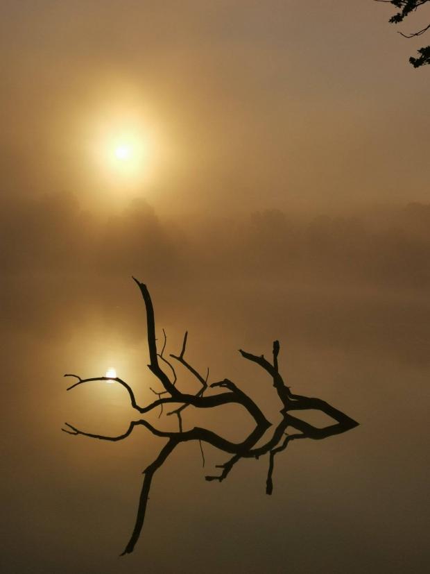 County Times: A foggy day at Fachwen Pool near Newtown.  Photo by Robin Bridgen.