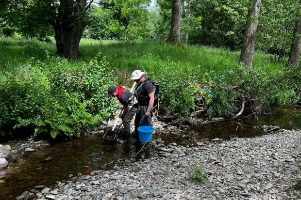 Environment Agency officers have searched the rivers Teme and Redlake for stranded fish.   Picture credit: Environment Agency