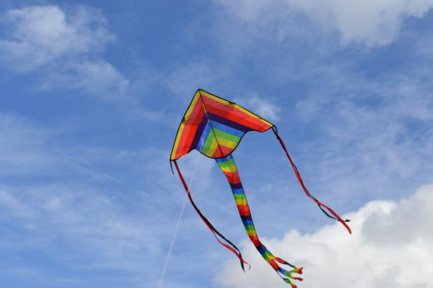 County Times: A kite in the air (Canva)