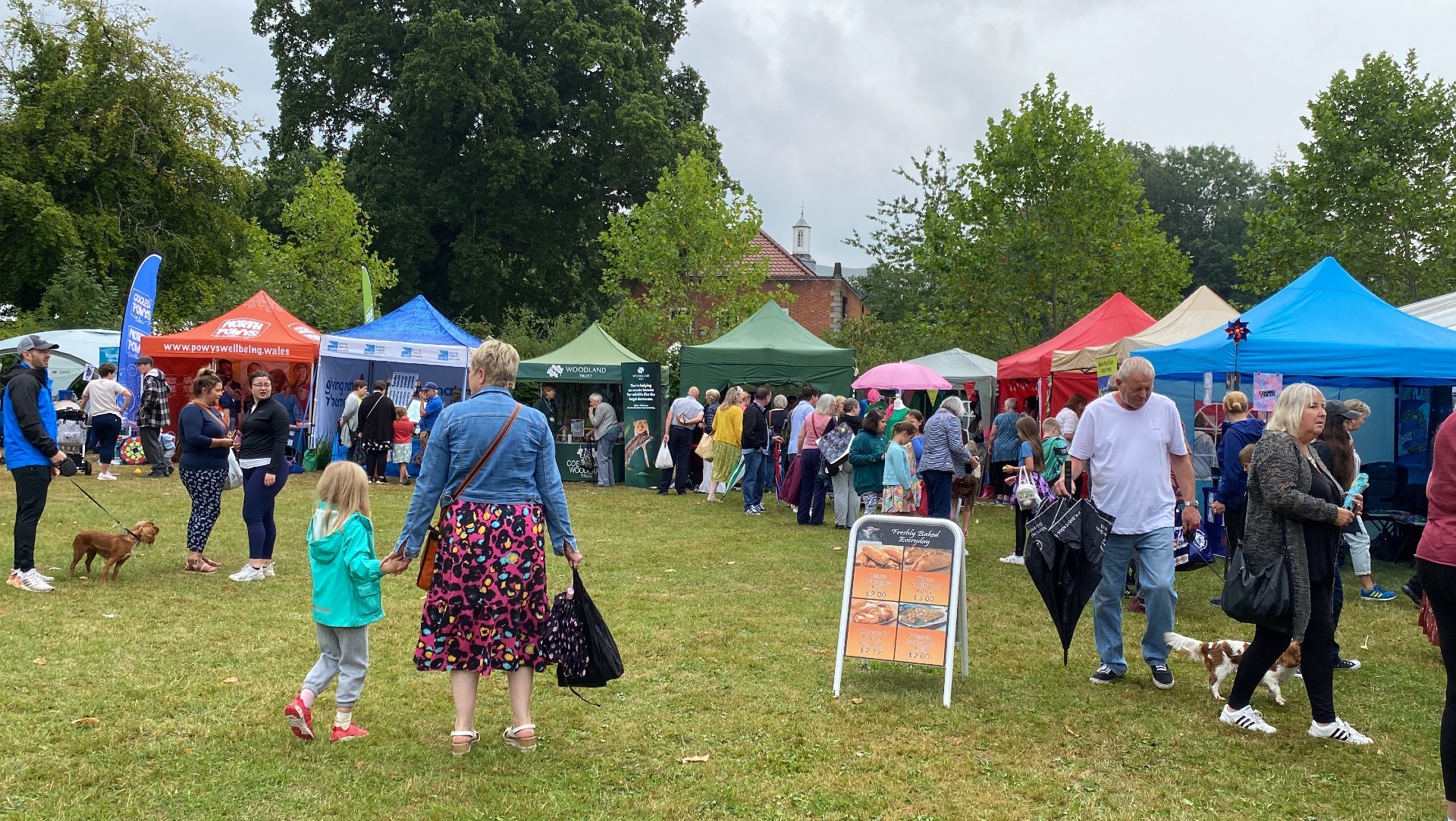 Plenty of visitors to the stalls at Newtown Food Festival.